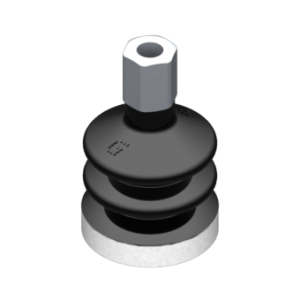 VG.LB22N.50.M5F.E8.SFO